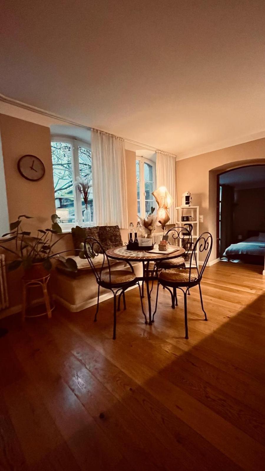 Apartment Am Schloss - Flair Саарбрюккен Экстерьер фото